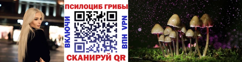 купить наркотики цена  Менделеевск  Галлюциногенные грибы мицелий 